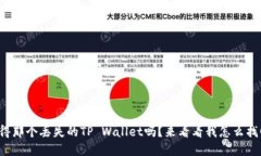 你还记得那个丢失的TP W