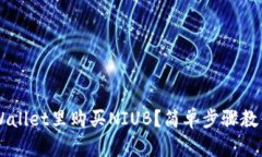 如何在TP Wallet里购买NIUB？